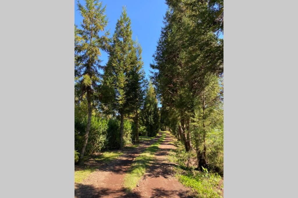 Agreable Chalet Au Milieu Des Sapins La Plaine des Cafres Zewnętrze zdjęcie